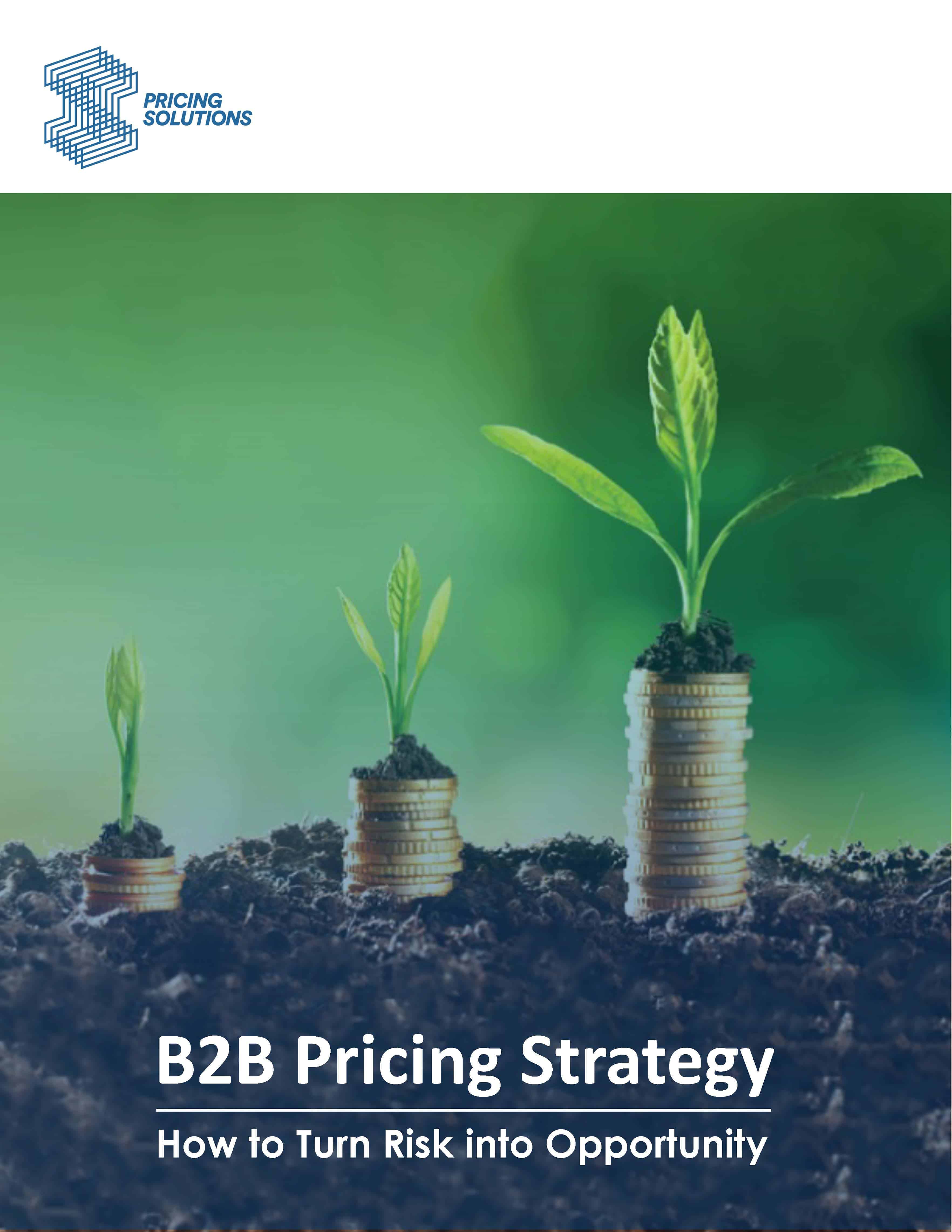 Improving B2B Pricing Strategy - Pricing Solutions